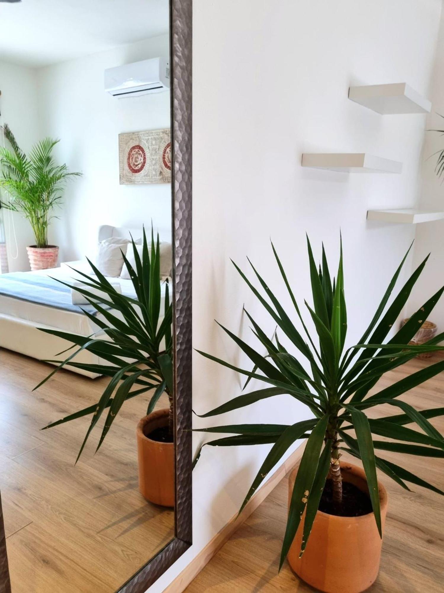 Chill Inn Hostel تولوم المظهر الخارجي الصورة