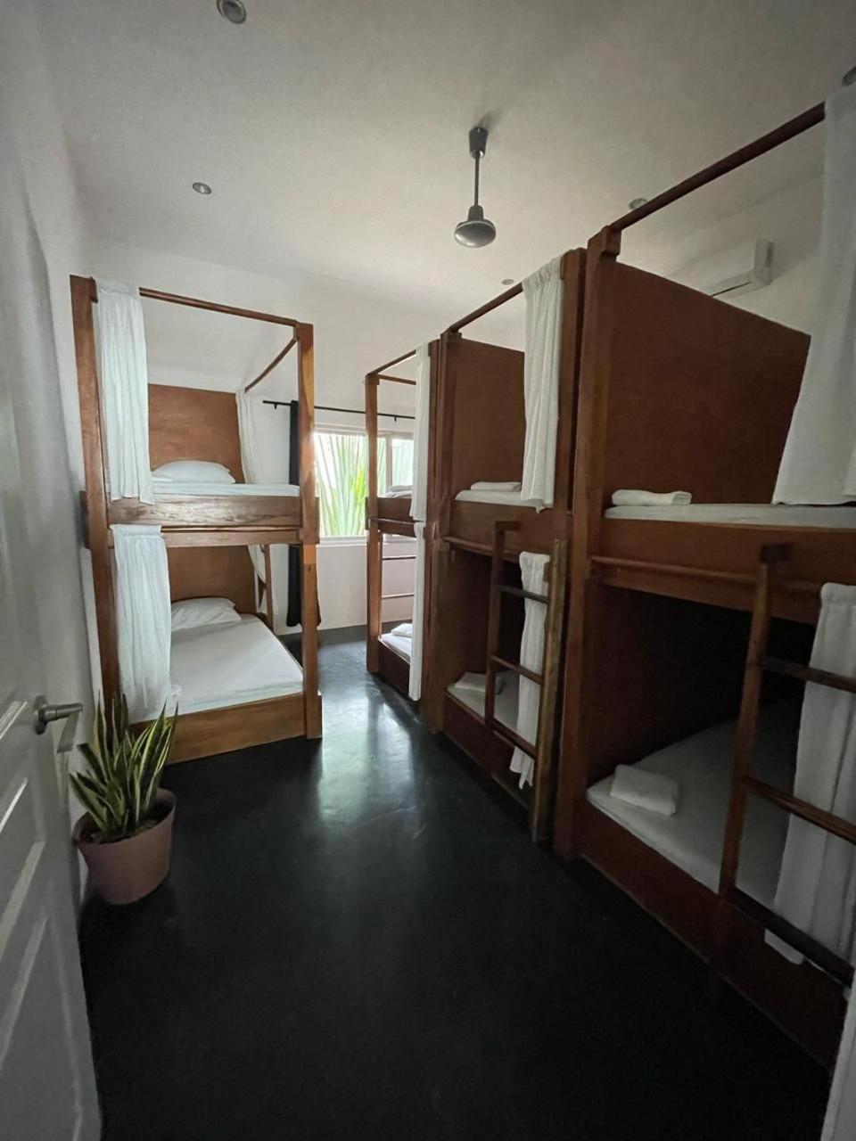 Chill Inn Hostel تولوم المظهر الخارجي الصورة